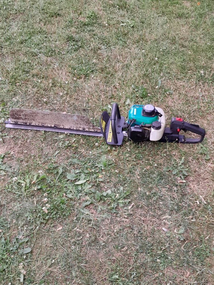 TAILLE HAIE THERMIQUE 10 �tain (55)