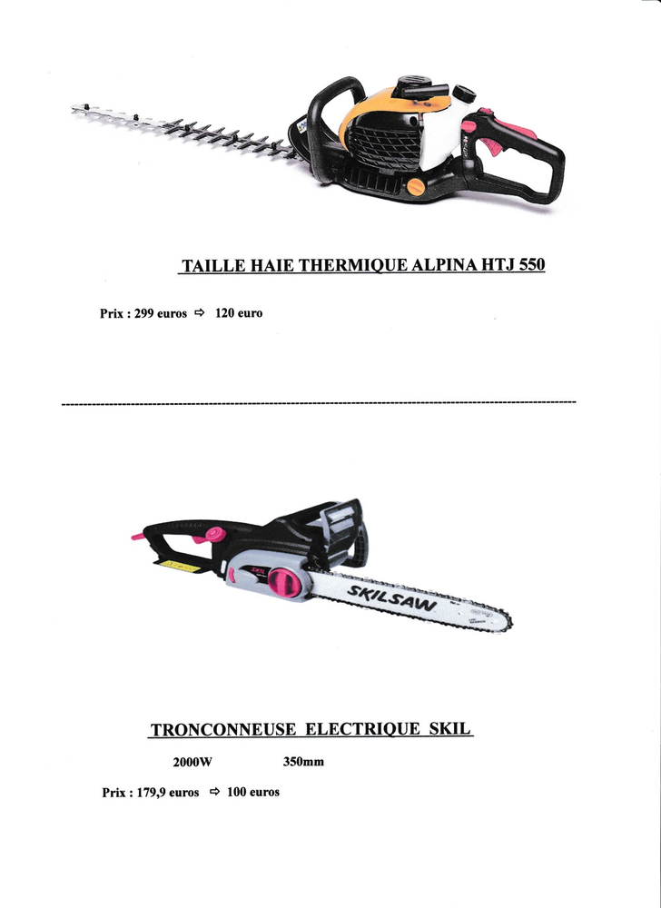 taille haie thermique et tron�onneuse �lectrique 100 Saint-Pierre-d'Aurillac (33)