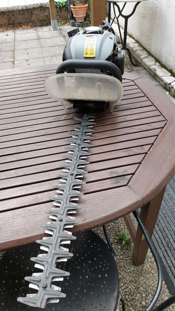 Taille haie thermique 50 Frignicourt (51)