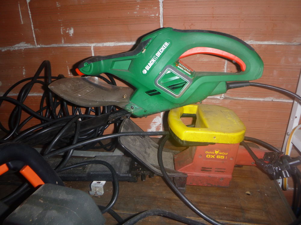 TAILLE HAIE 50 Nancy (54)