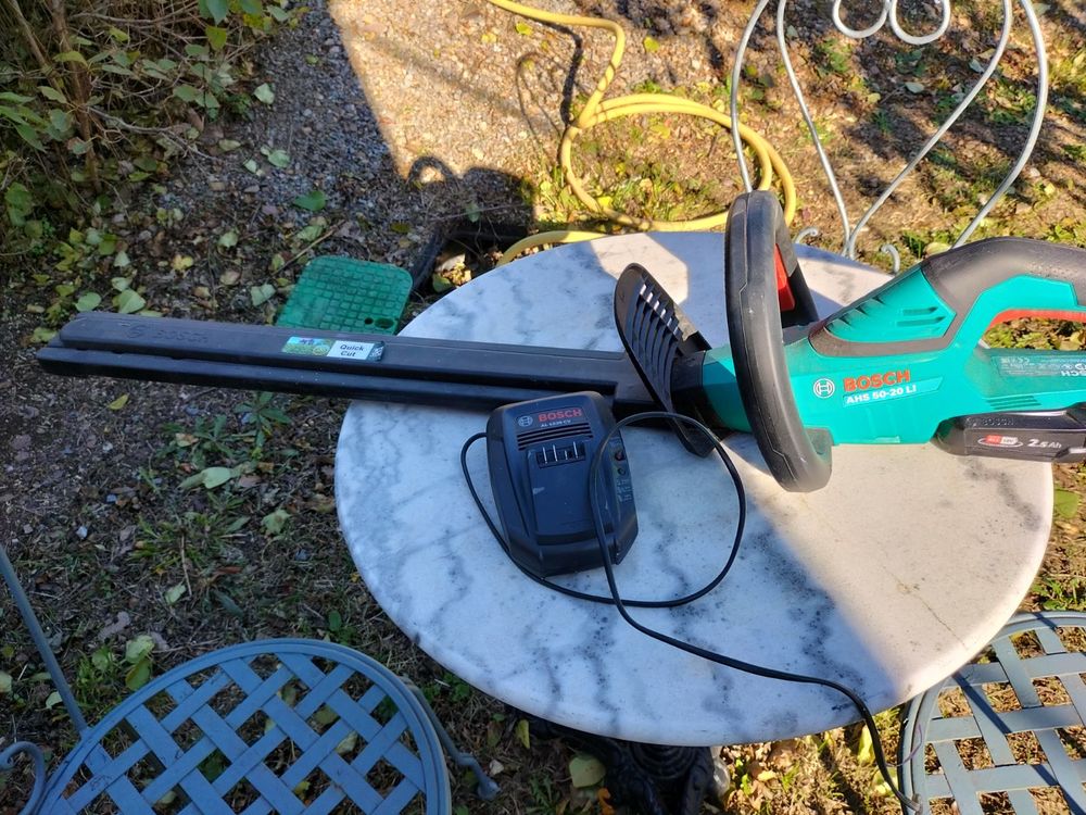 TAILLE HAIE 60 Fondamente (12)