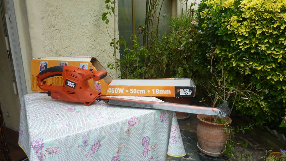 Taille haie 40 Villenave-d'Ornon (33)