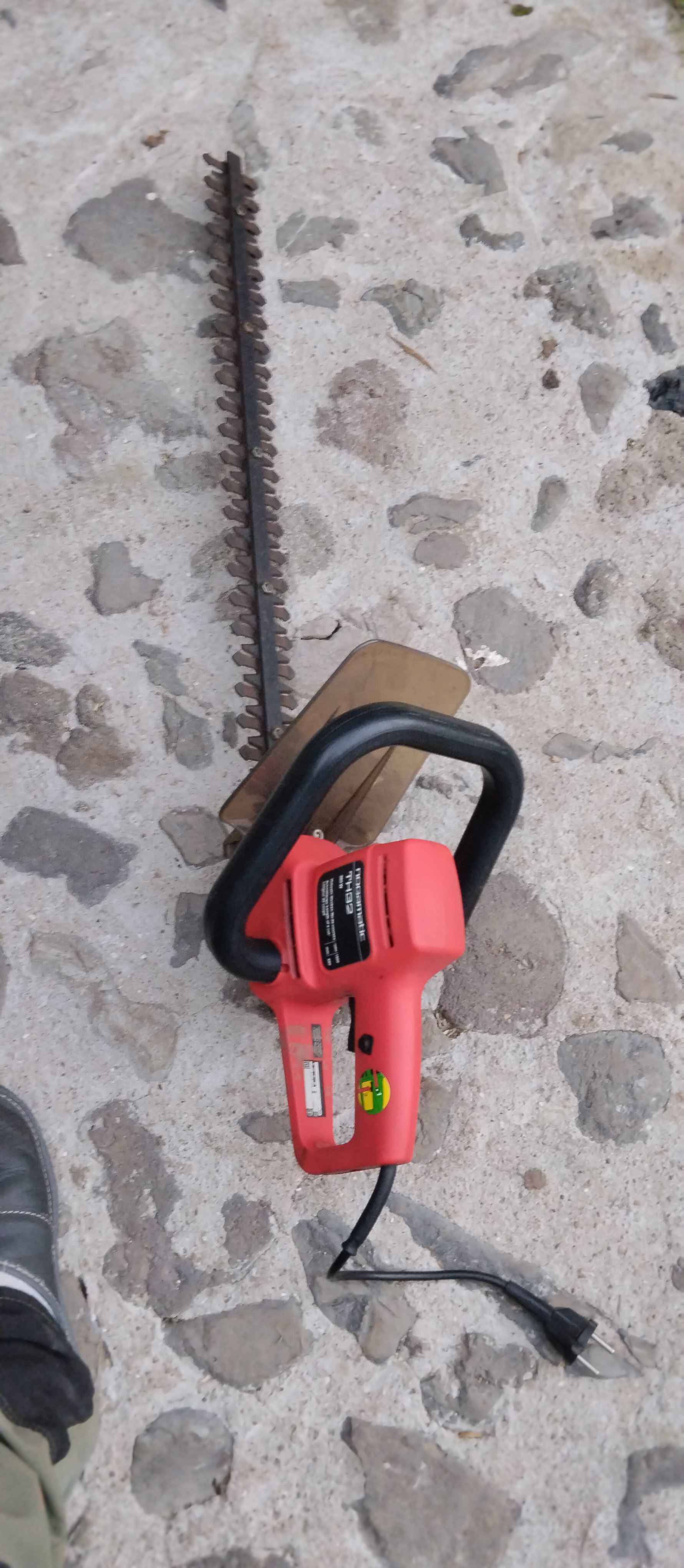 taille haie 40 Mauriac (15)