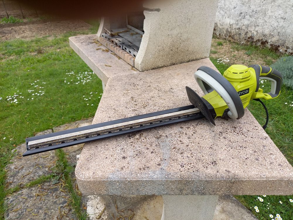 TAILLE HAIE 0 Le Blanc (36)