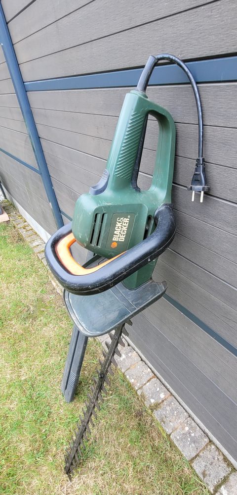 Taille Haie 40 Vitr� (35)