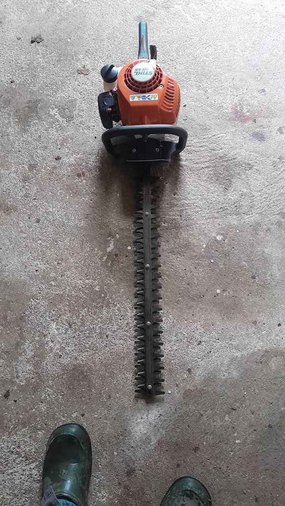 taille haie 200 Melesse (35)