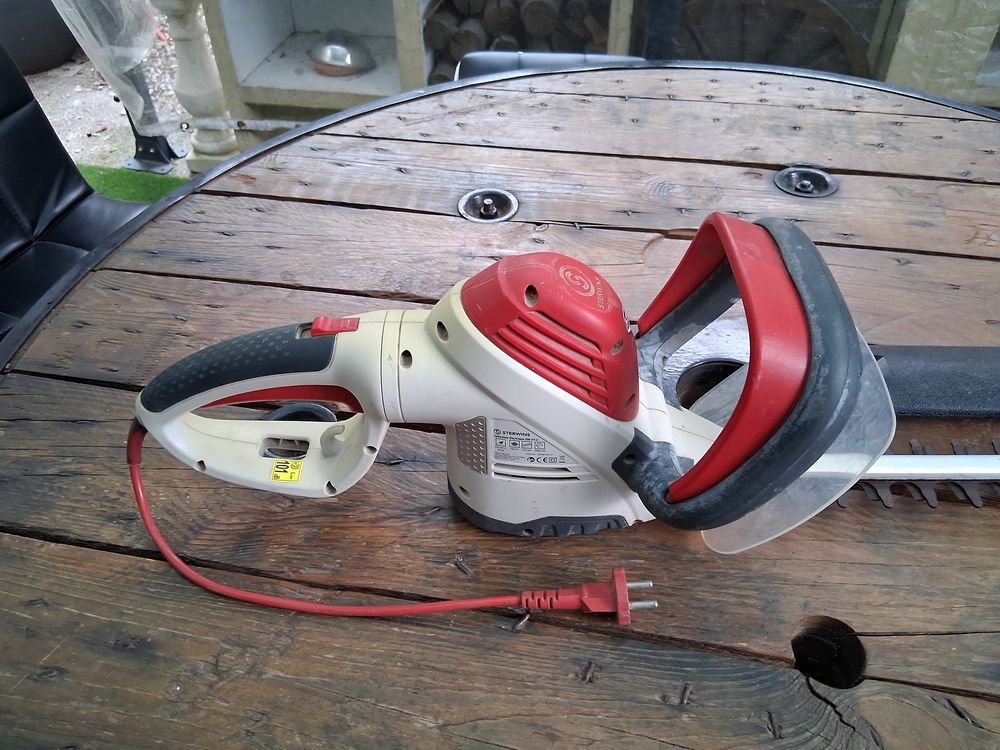 taille haie 20 Saint-Mitre-les-Remparts (13)