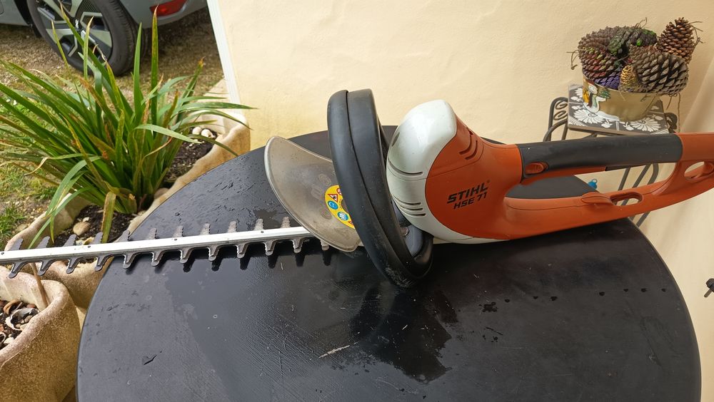 TAILLE HAIE 90 Le Perrier (85)