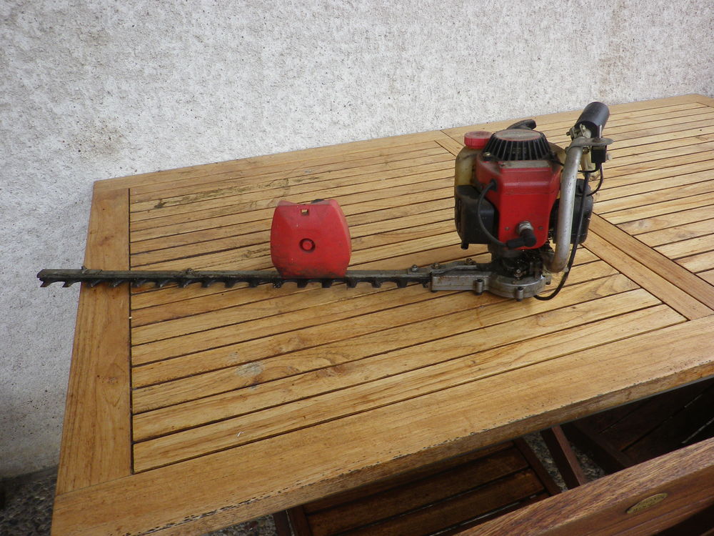 Taille haies thermique 15 Chaussin (39)