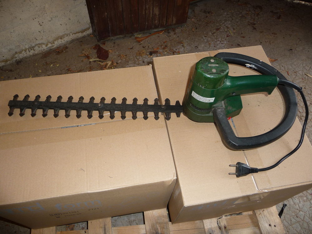 Taille haies 25 Saint-Germain-l�s-Corbeil (91)