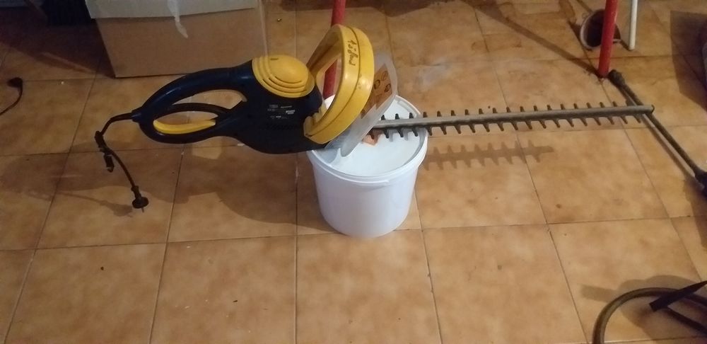 TAILLE HAIES 25 Montgeron (91)