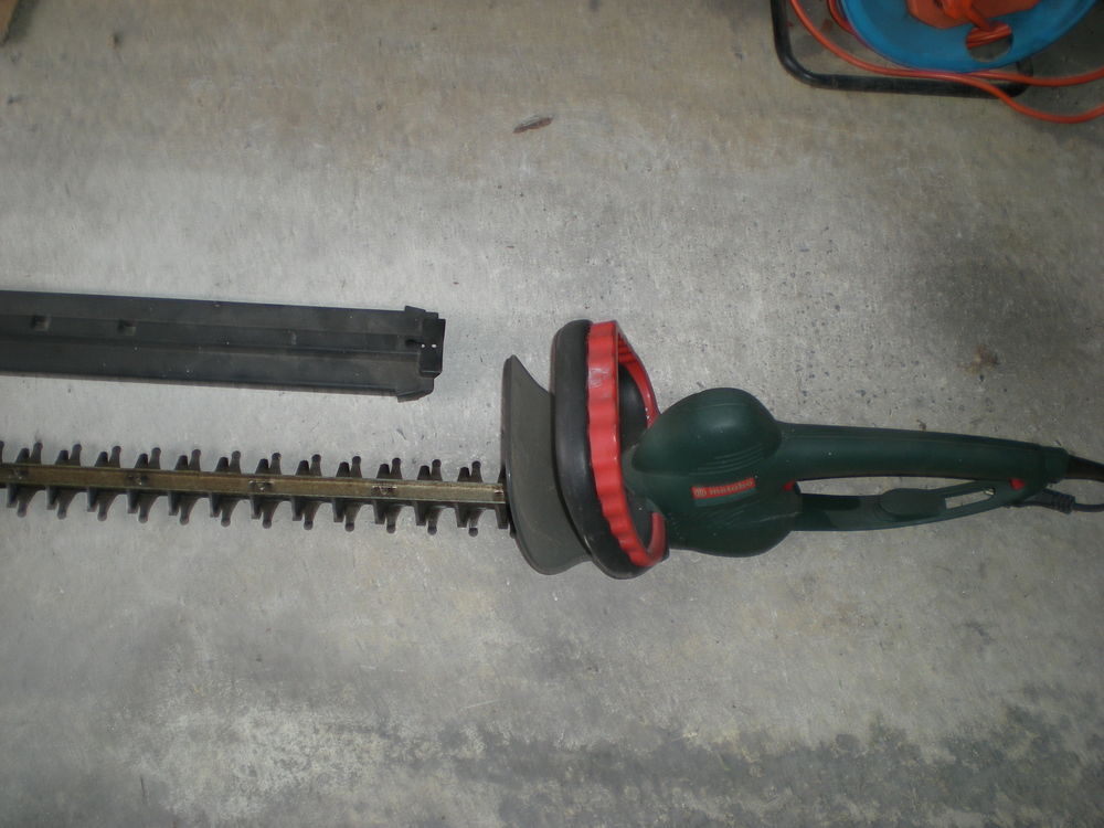 Taille haies 40 Gradignan (33)