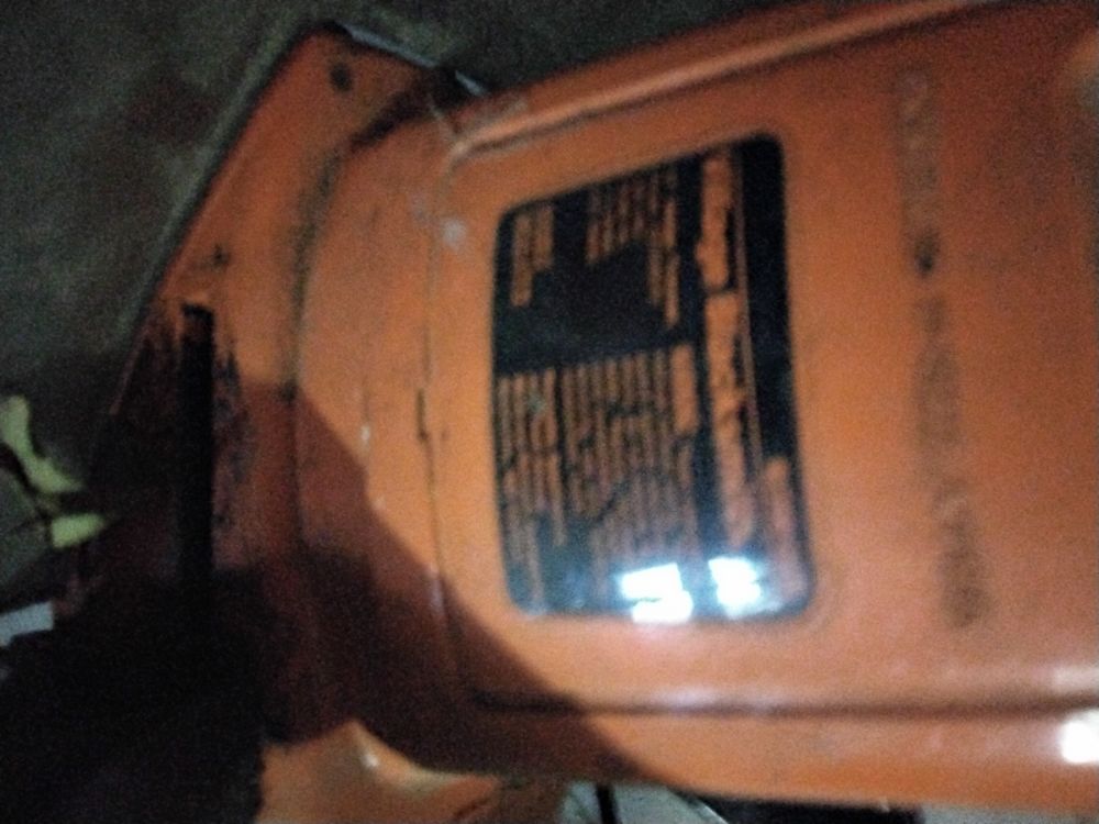 Taille Haye 15 Luzy-sur-Marne (52)