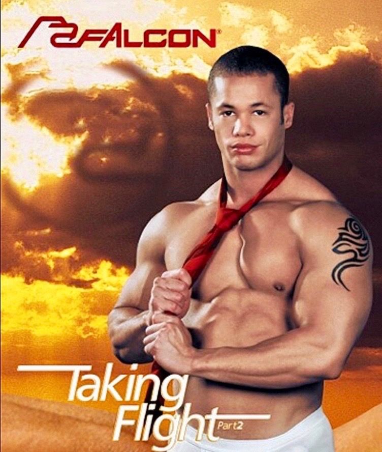 TAKING FLIGHT / FALCON STUDIOS DVD 22 Paris 17 (75)