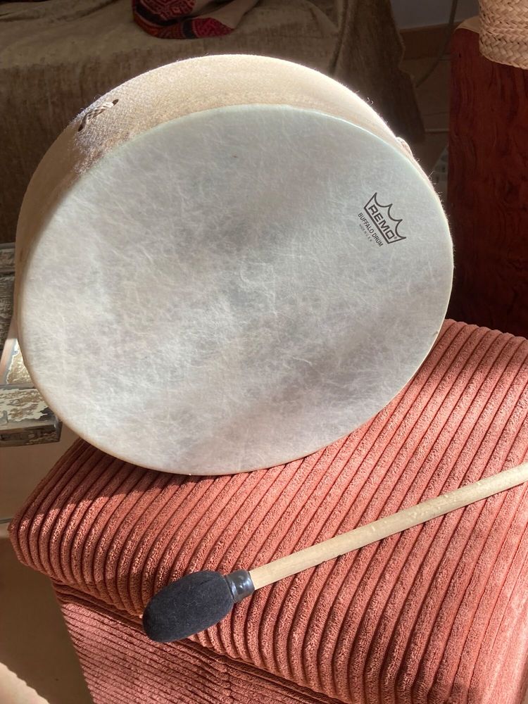 Tambour � main Remo ; Buffalo drum Neuf .En peau synthetique 80 Aix-en-Provence (13)