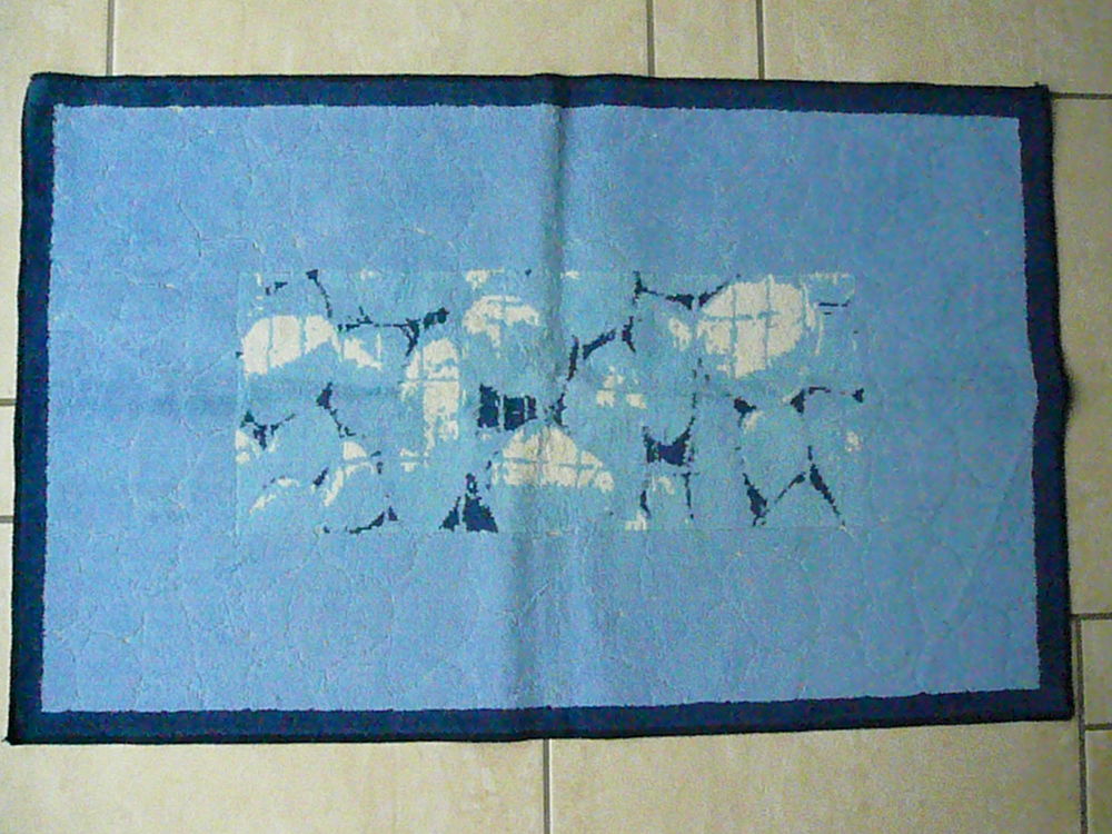 Tapis bleu 6 Franqueville-Saint-Pierre (76)