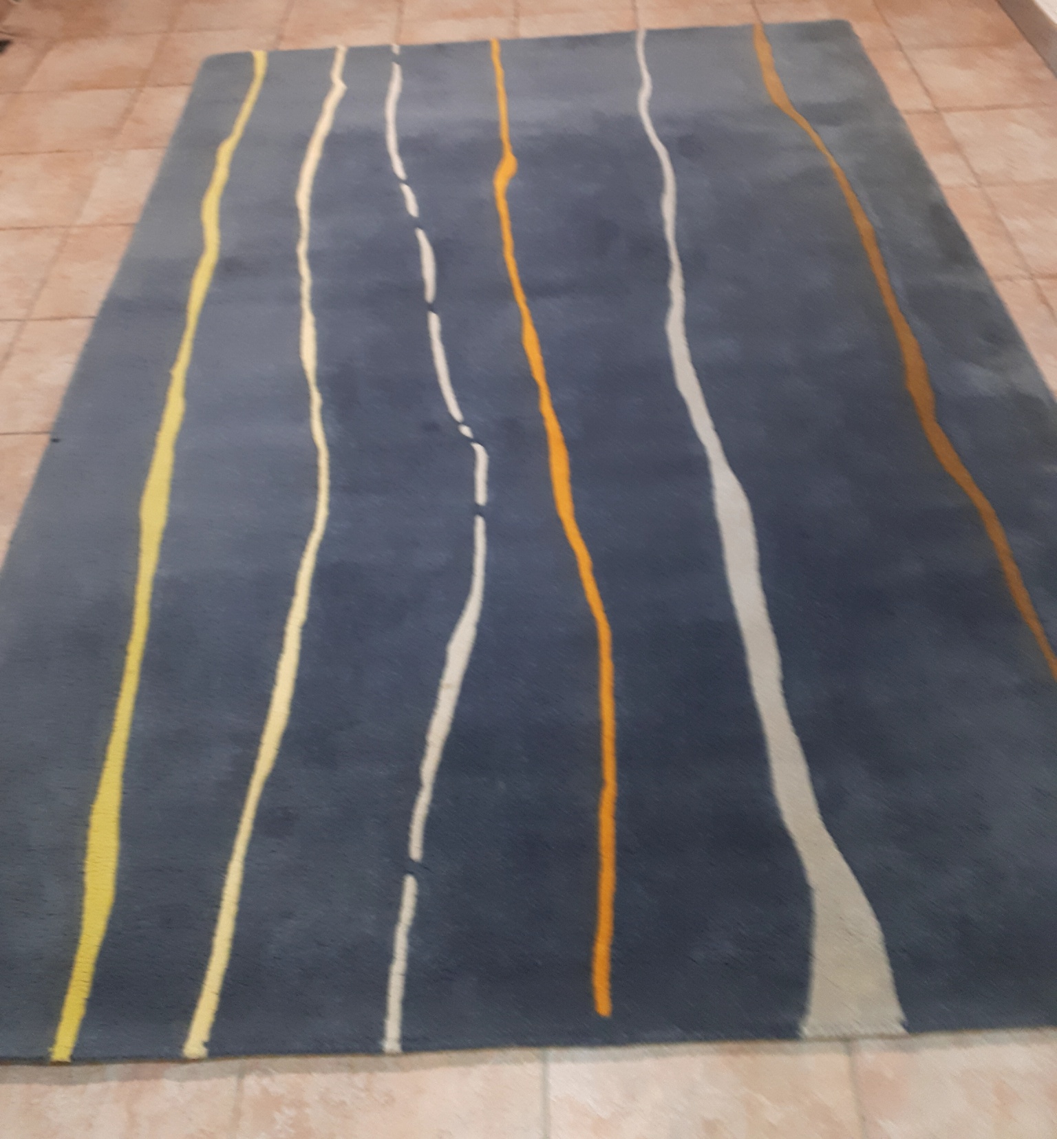 Tapis contemporain 50 Plaisance-du-Touch (31)