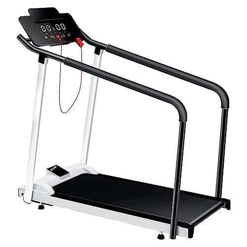 tapis de course 85 Ch�teau-Gontier (53)