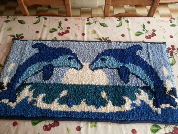 tapis dauphin 50 Reims (51)