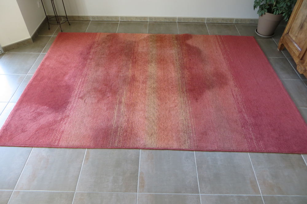 Tapis laine moderne 220 Entrelacs (73)