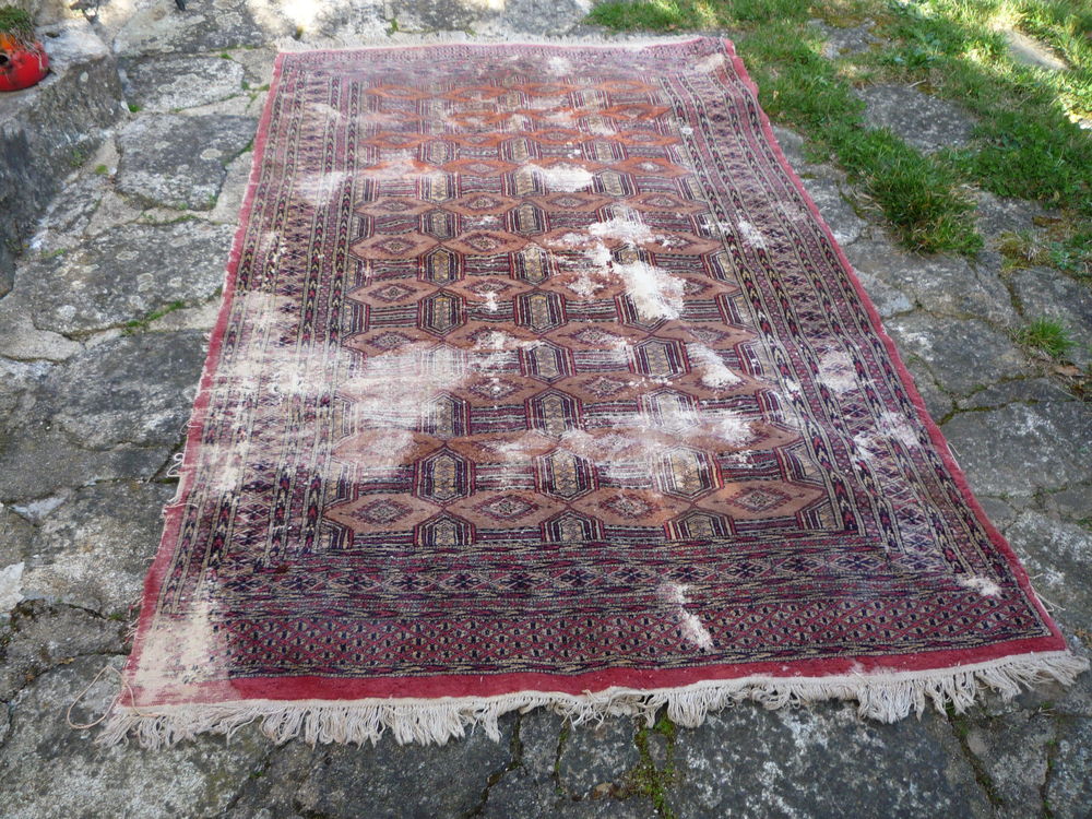 Tapis d'Orient
65 Castres (81)