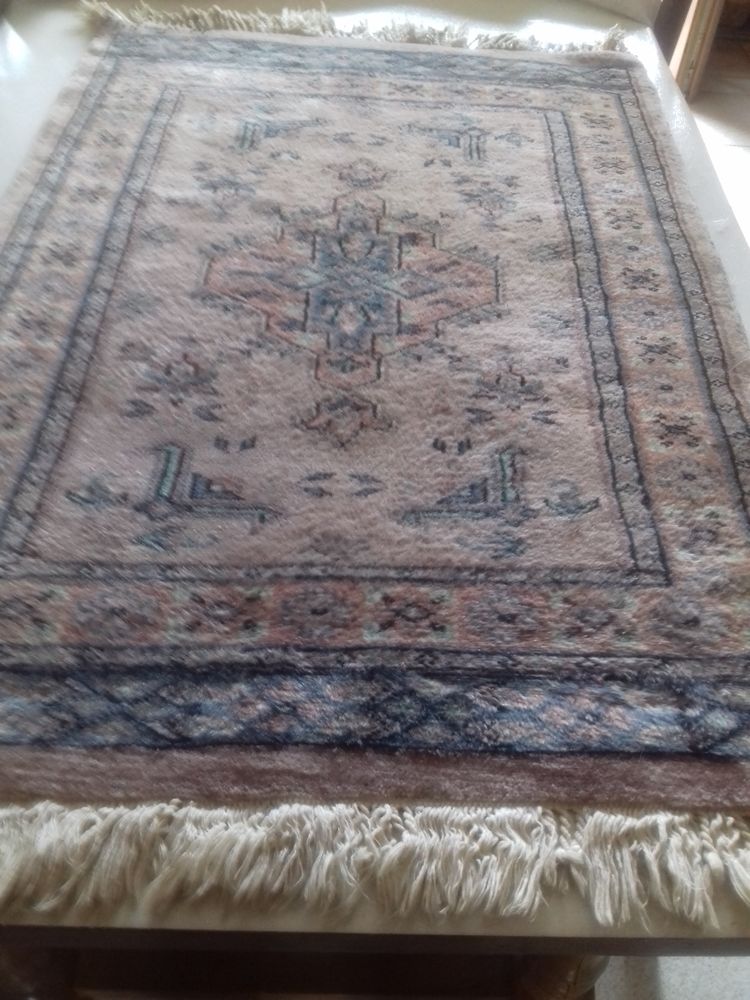 tapis oriental 30 Iverny (77)