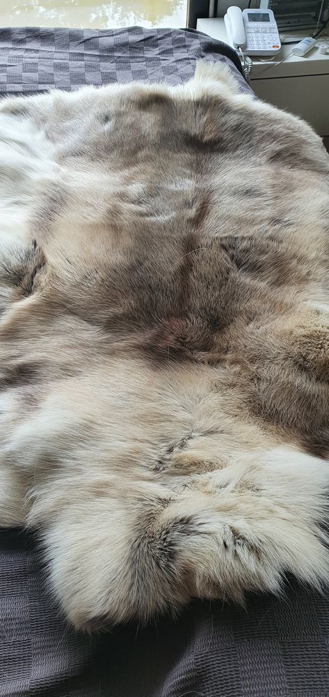 tapis peau de rennes 0 Piégut-Pluviers (24)