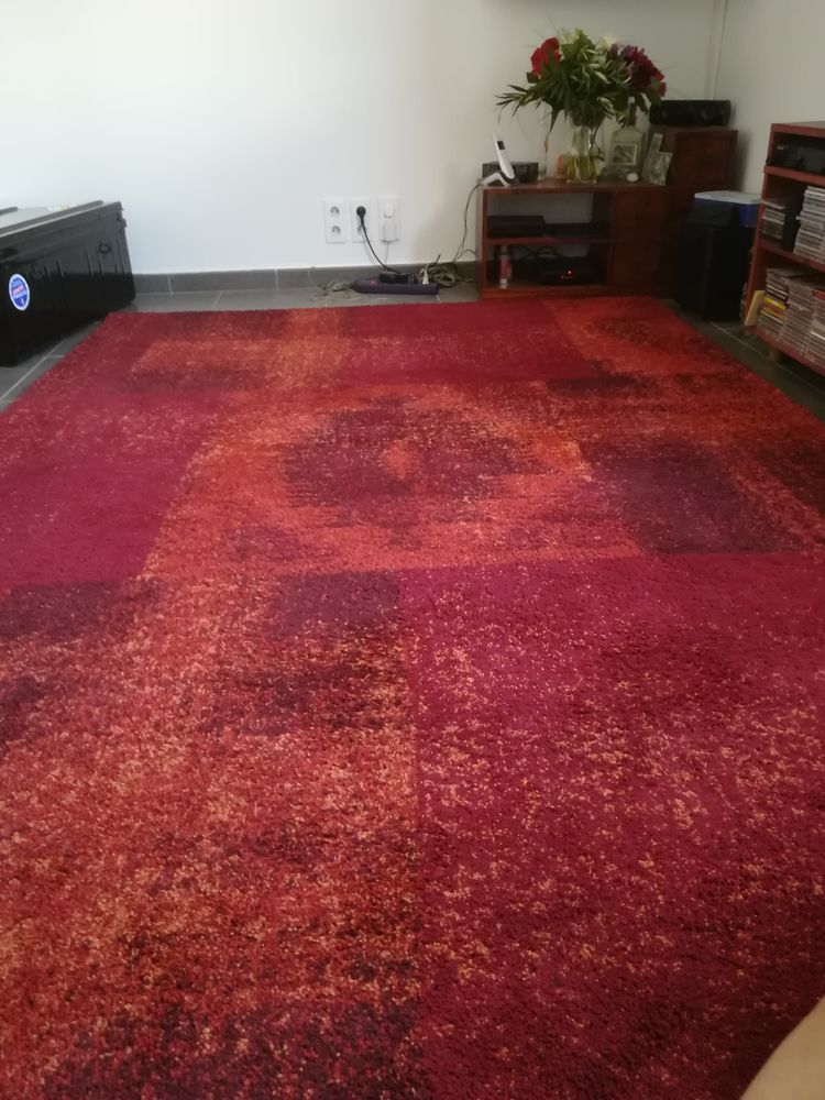  Tapis pour salon, salle a manger 100 Propriano (20)