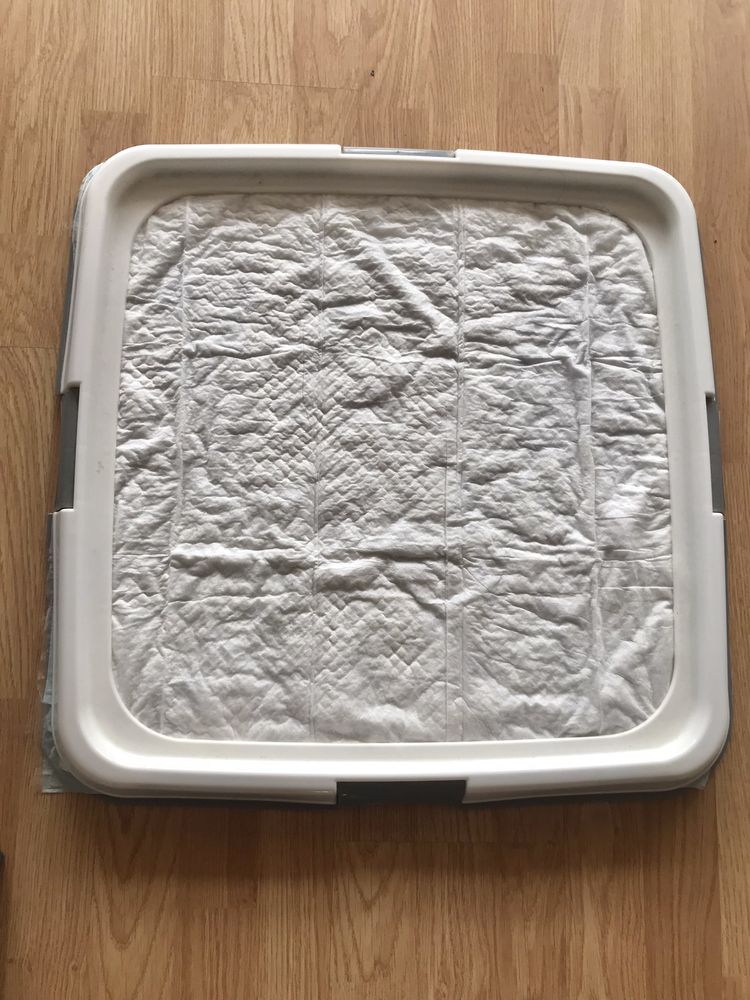 Tapis propret� chien 10 Annemasse (74)