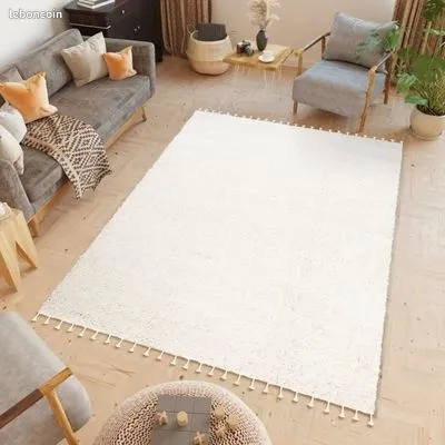 Tapis Salon Chambre Poils Longs BOHO 90 Vernouillet (28)