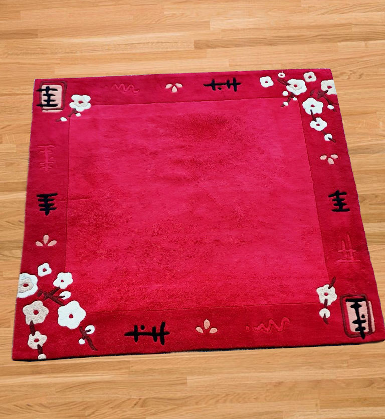 Tapis de salon cosy 50 Gex (01)
