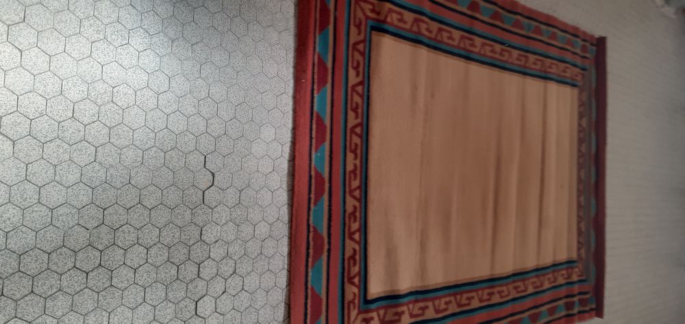 TAPIS DE  SALON OU SALLE A MANGER
80 Perpignan (66)