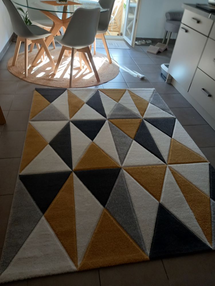 Tapis salon 30 Frontignan (34)