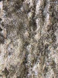 TAPIS SERGE LESAGE 120 Anglet (64)