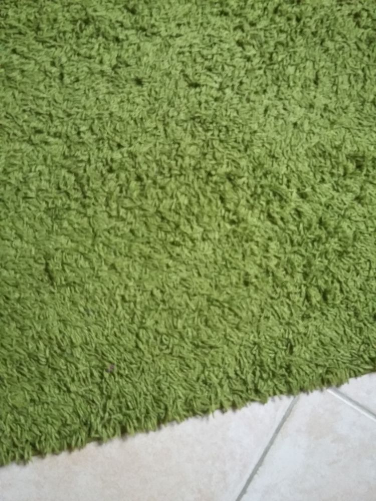 Tapis shaggy vert 20 Vouzon (41)