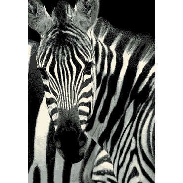 TAPIS 30 Bormes-les-Mimosas (83)