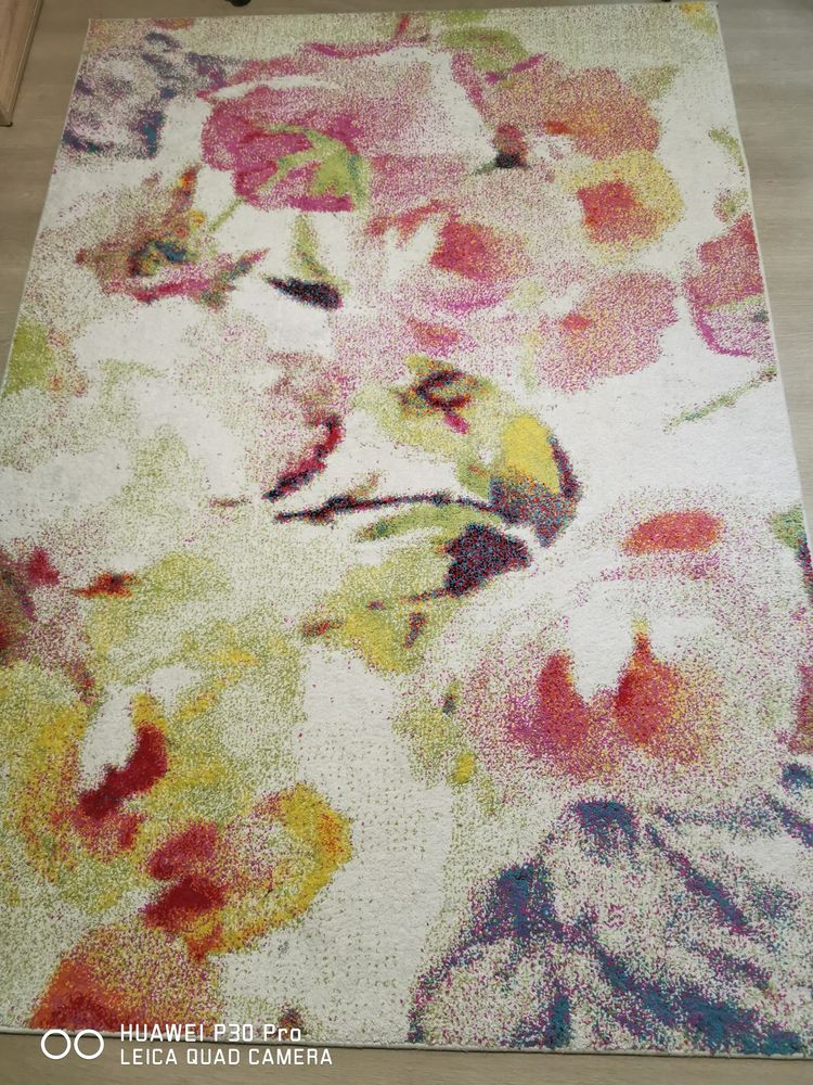 Tapis 100 Qu�vert (22)