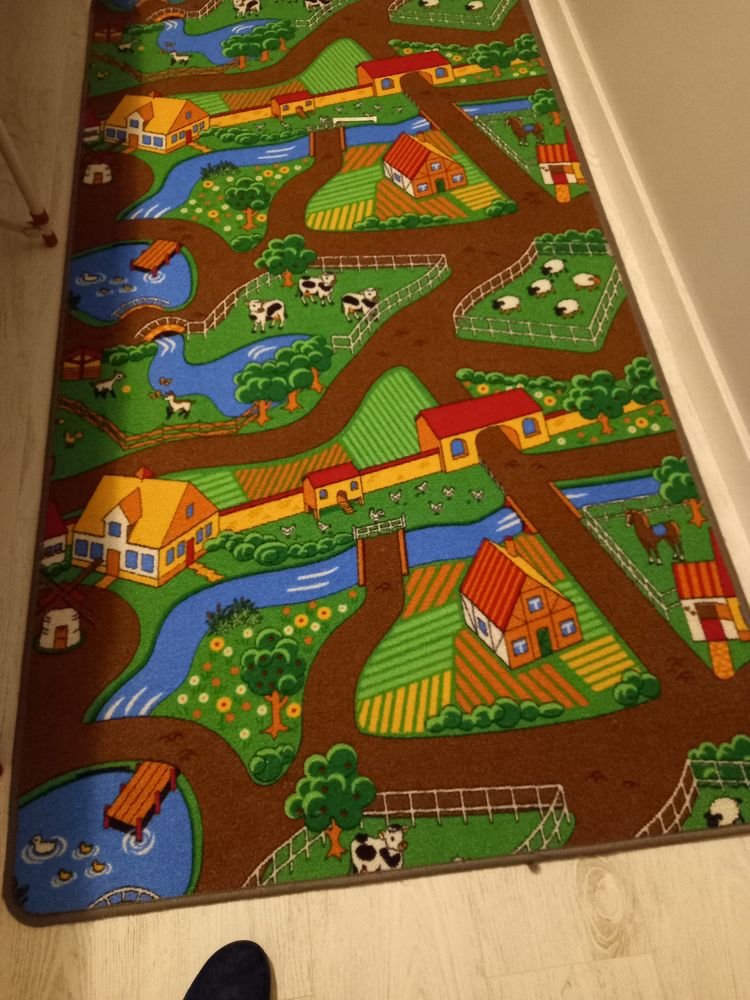 Tapis 15 Saint-Agnant (17)