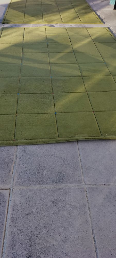 2 tapis 65 Labruy�re-Dorsa (31)