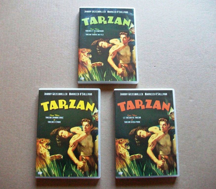 LOT 3 D.V.D. Tarzan (2004) 11 Castelnaudary (11)