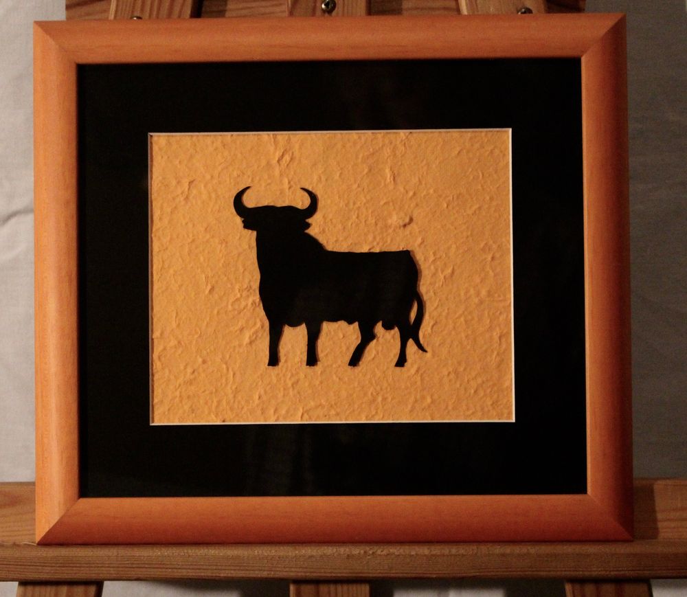 TAUROMACHIE 30 Anglet (64)