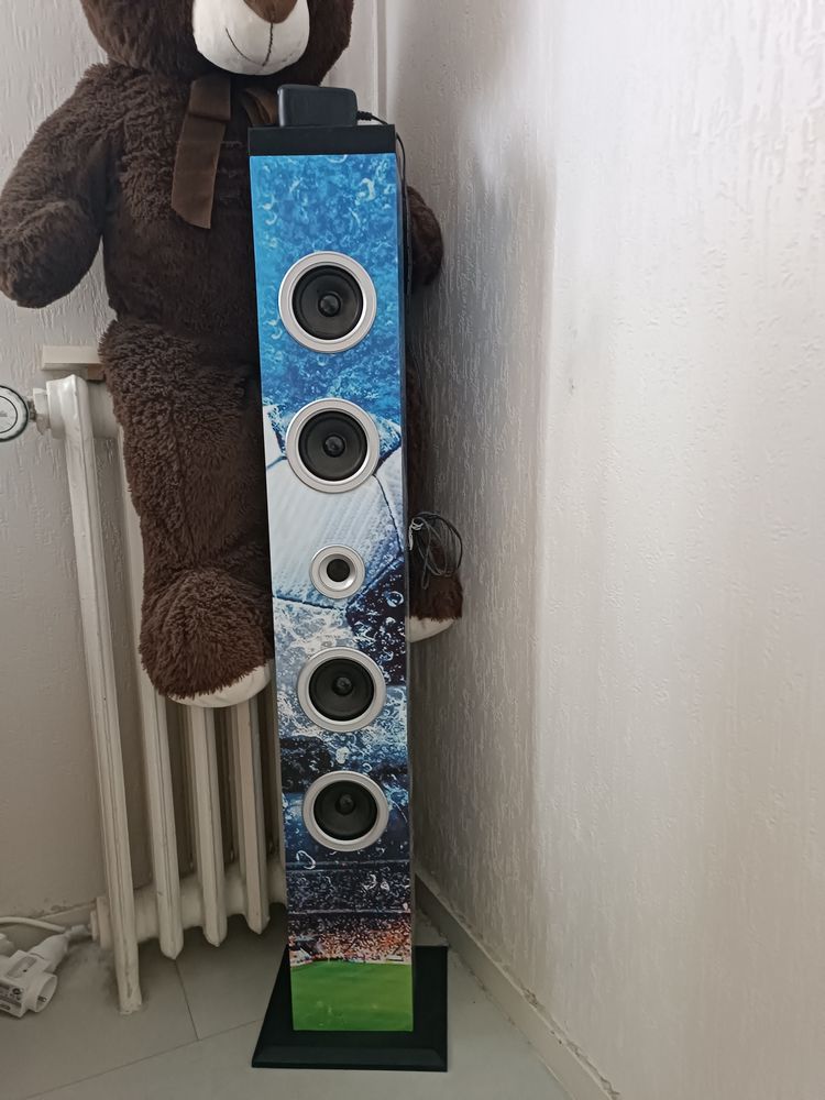 T�l� avec barres de son 100 Poitiers (86)