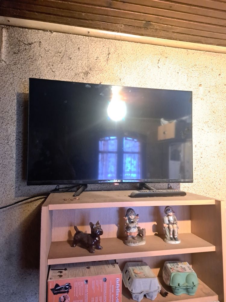 tele connect� 100 Beaulieu-en-Argonne (55)