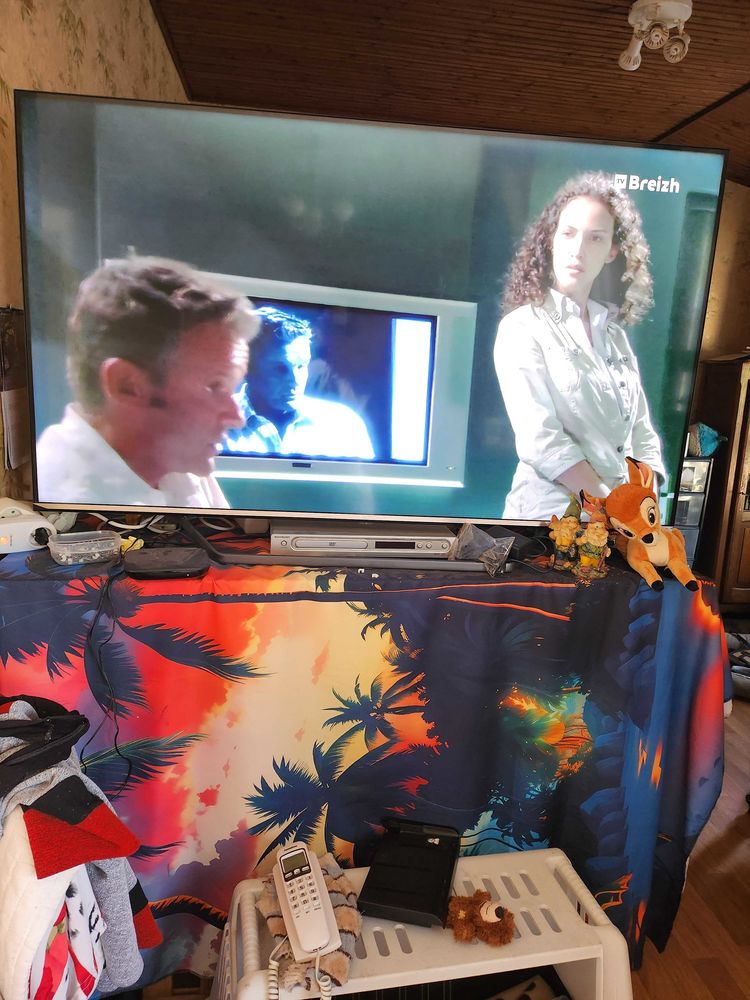 tele grande 300 Ch�tellerault (86)