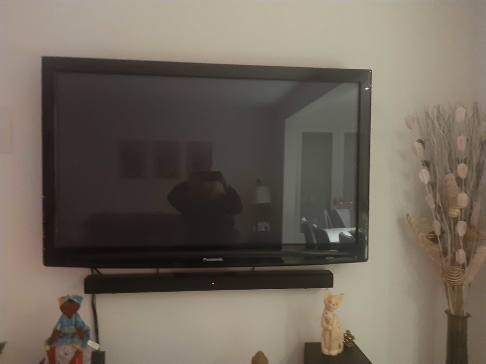 T�l� 134 cm 100 Sarlat-la-Can�da (24)