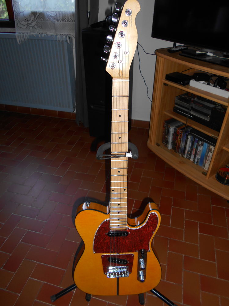 telecaster  harley benton   tbe 150 Vinsobres (26)