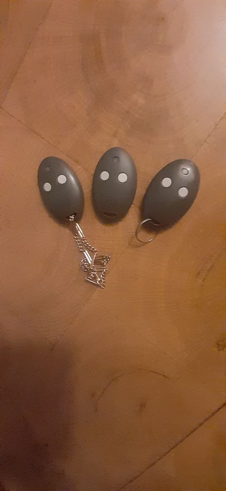 3 t�l�commandes portail 25 �zanville (95)