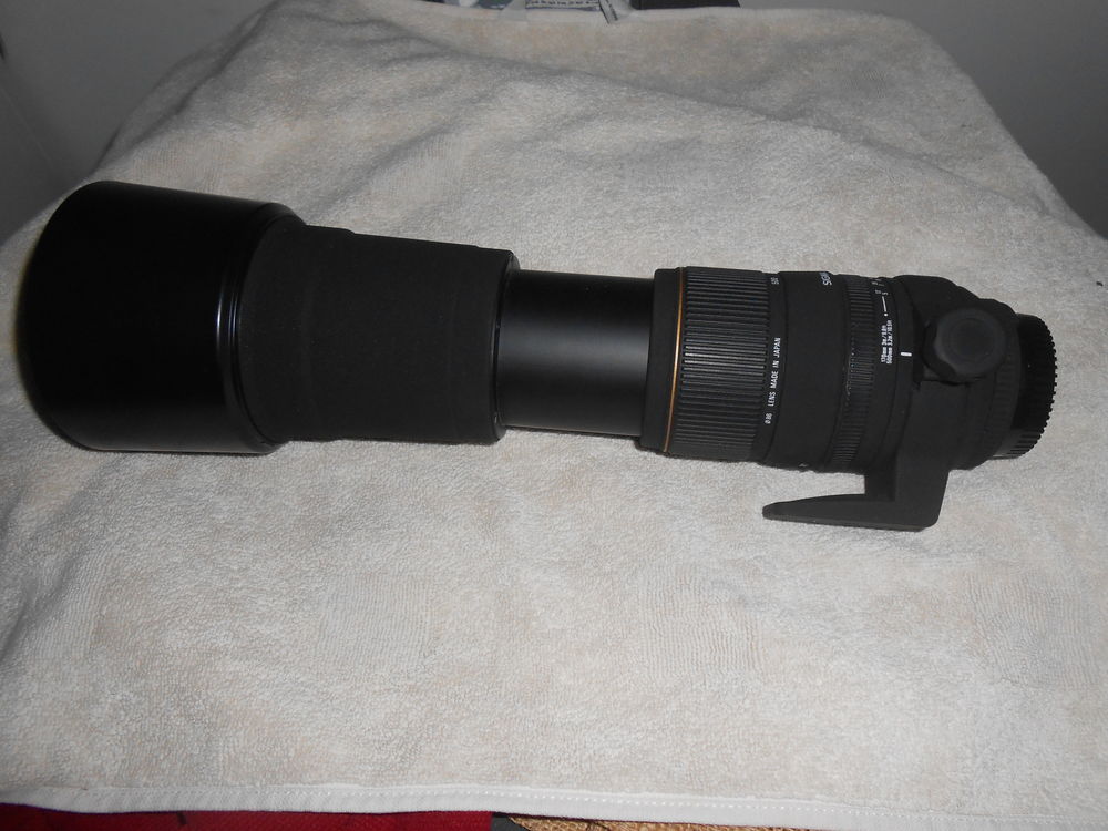 teleobjectif  sigma ,  170x500 300 Saint-Jouan-des-Gu�rets (35)