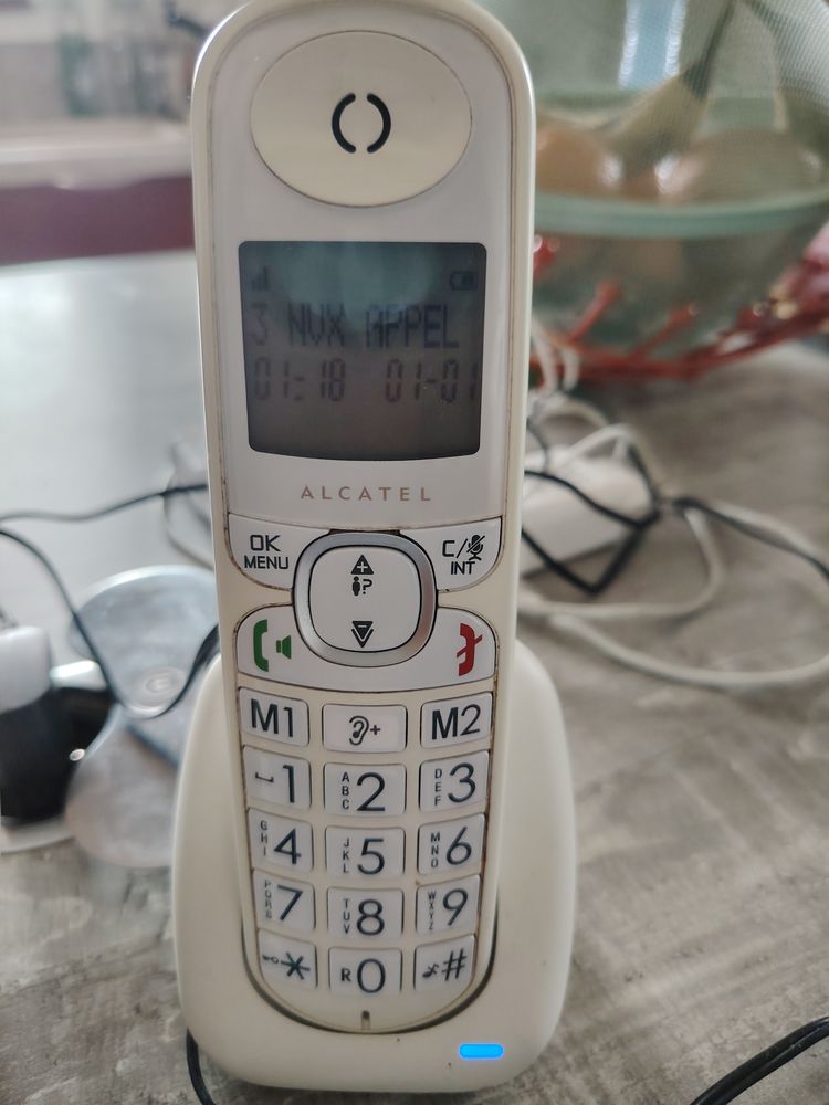 T�l�phone alcatel 20 Tourriers (16)