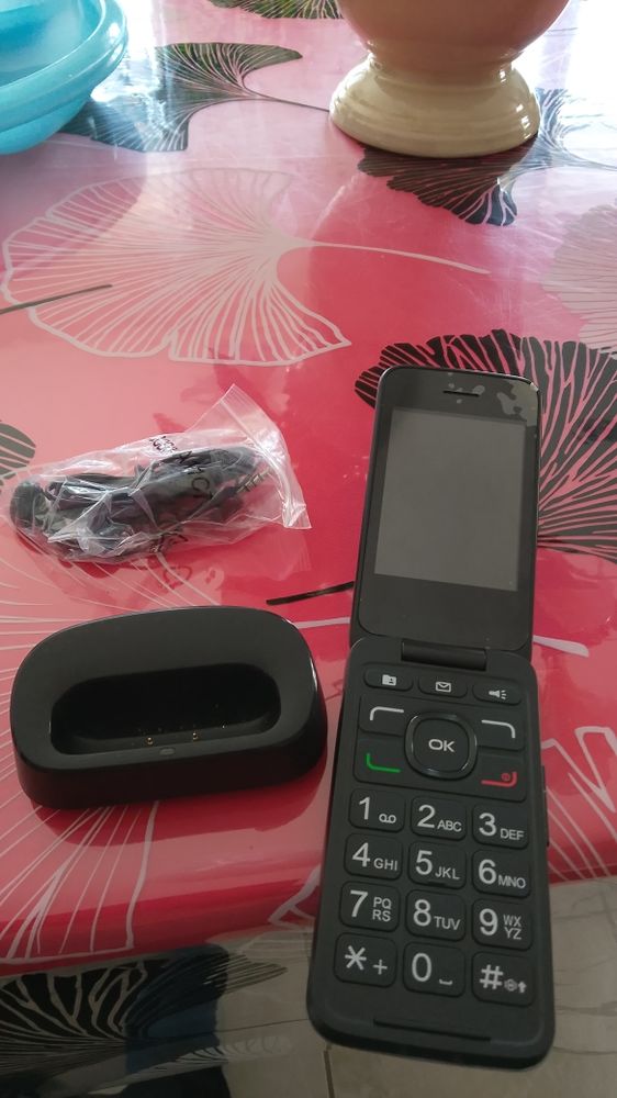 telephone portable 30 Saint-Dionizy (30)